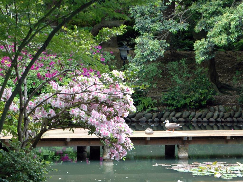Matsusaki Nomi Exterior photo